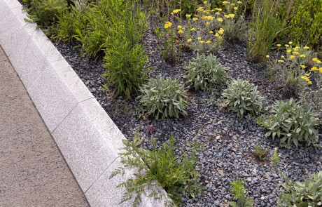 Ein mit einer Steinkante eingefasstes Gartenbeet, gefüllt mit verschiedenen Grünpflanzen und kleinen gelben Blumen, die in grauem Kies neben einem gepflasterten Weg wachsen.