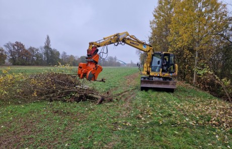 Ein gelber Bagger mit orangefarbenem Anbaugerät beseitigt unter bewölktem Himmel Äste auf einer Wiese in der Nähe von Bäumen mit Herbstlaub.